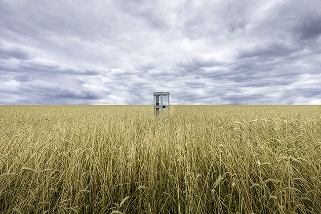 Champ de blé sous un ciel d'orage, photographie de paysage de la série artistique