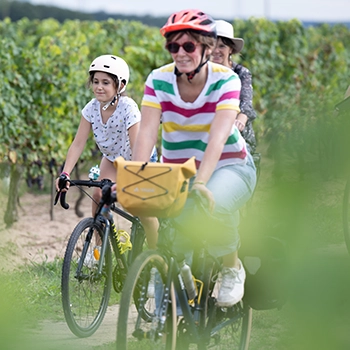 Trois cyclistes souriantes traversent les vignes, photographie de tourisme